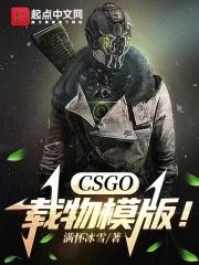 csgo载物模版全文阅读