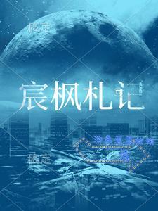 宸枫科技有限公司