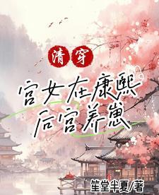 清穿之康熙的宫女