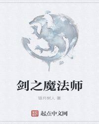 魔法师剑士